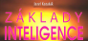 Z�klady inteligencie [CZ]